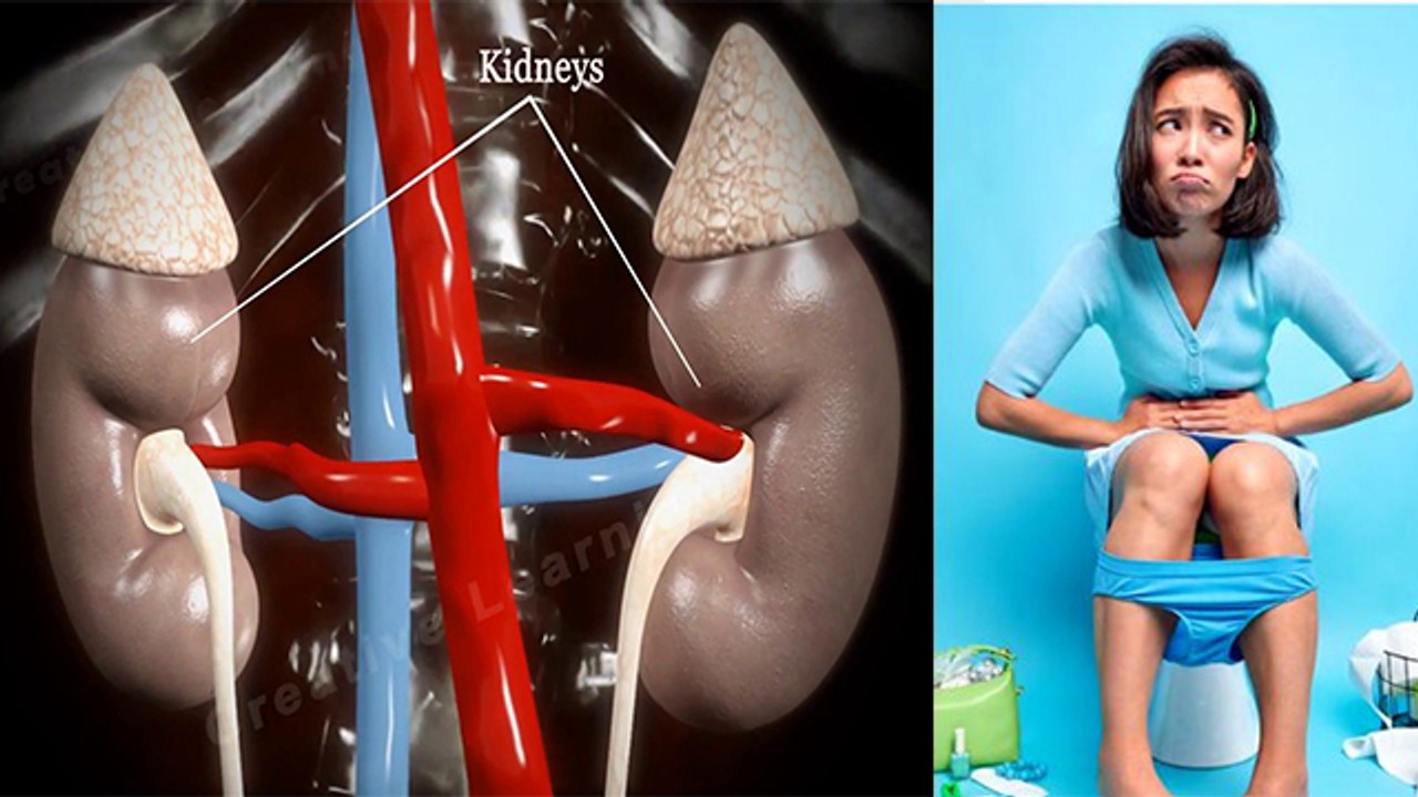 किडनी की बीमारी होने पर ज्यादा पेशाब क्यों आता है|Kidney Bimari Me Jyada Peshab Kyu Aata hai|Boldsky