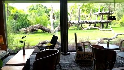 Le Safari Suite du Zoo de La Flèche