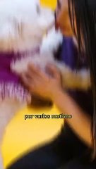 ¿Por qué motivo los peros lamen