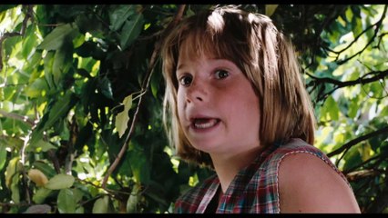 LE GRAND CHEMIN NOUVELLE BA AU CINÉMA LE 2 OUT 2023 EN VERSION RESTAURÉE 4K