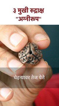 ३ मुखी रुद्राक्ष ''अग्नीरूप'' Benefits of wearing 3 Mukhi Rudraksha | Astro Tips | SG5