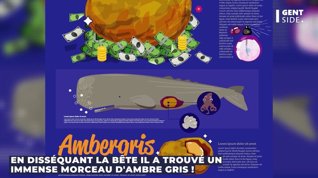 Un trésor d'une valeur de plusieurs centaines de milliers d'euros trouvé dans un cachalot échoué