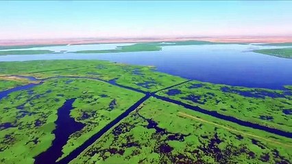 Çin'deki Wuliangsu Gölü, 260'tan fazla kuş türüne ev sahipliği yapıyor