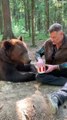 Un homme partage ses frites avec un ours