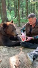 Un homme partage ses frites avec un ours