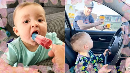 Little Wonders: Exploring the Joys of Parenting a Toddler II Heartsome