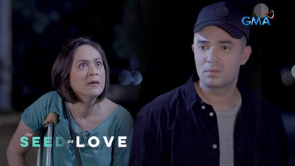 The Seed of Love: Ludy confronts Eileen's fake friend (Episode 49)
