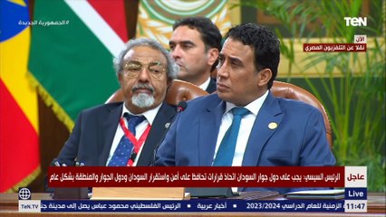 السيسي: يجب الوقف الفوري والمستدام للعمليات العسكرية في السودان للحفاظ على مؤسسات الدولة