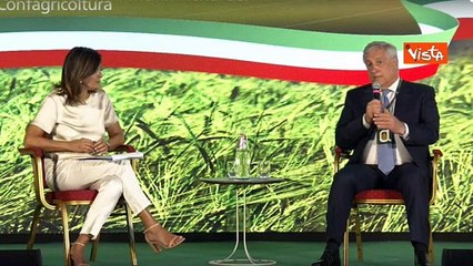 Tajani: Russia e Ucraina dialoghino su questioni concrete. Corridoio verde e centrale Zaporizhzhia