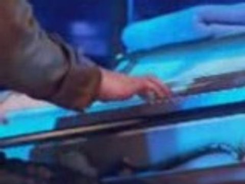 Panic At The Disco Lying Is The Most Fun A Girl Can H live