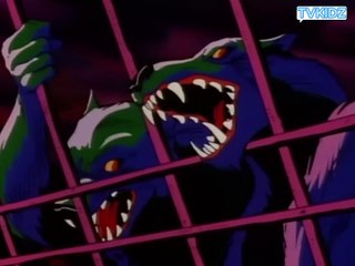 Robin des bois EP22