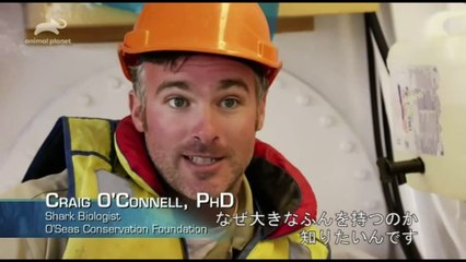 謎の深海ザメ【世界海洋デーＳＰ】