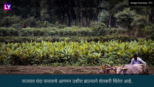Maharashtra Rain Update: महाराष्ट्रात मुसळधार पावसाची शक्यता, काही जिल्ह्यांना येलो अलर्ट