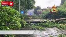 İtalya'da fırtına: 1 ölü