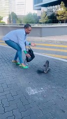 Woman's Heartwarming Rescue Saves Bird in Distress from Deadly Traffic! II Heartsome