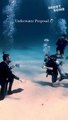 Man proposes to the love of his life underwater *Incredible Marriage Proposal*