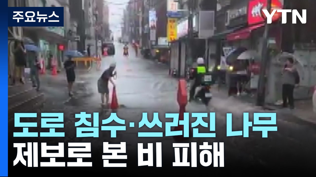 도로 침수·쓰러진 나무에 정전...제보로 본 비 피해 [앵커리포트] / YTN