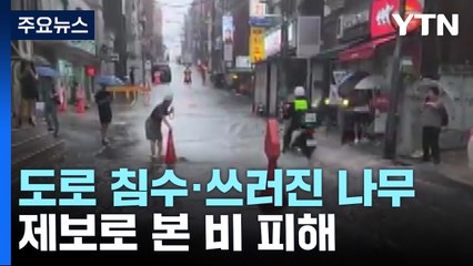 도로 침수·쓰러진 나무에 정전...제보로 본 비 피해 [앵커리포트] / YTN