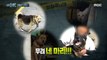 [HOT] There are only four large dogs that are not controlled by their owners!, 실화탐사대 230713