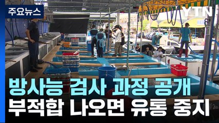 수산물 방사능 검사 과정 공개..."부적합 시 유통중단" / YTN