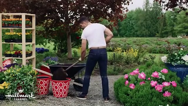 Hallmark Holidays Movies 2023 Best Hallmark Romance Movies 2023 Romantic Movies_360p