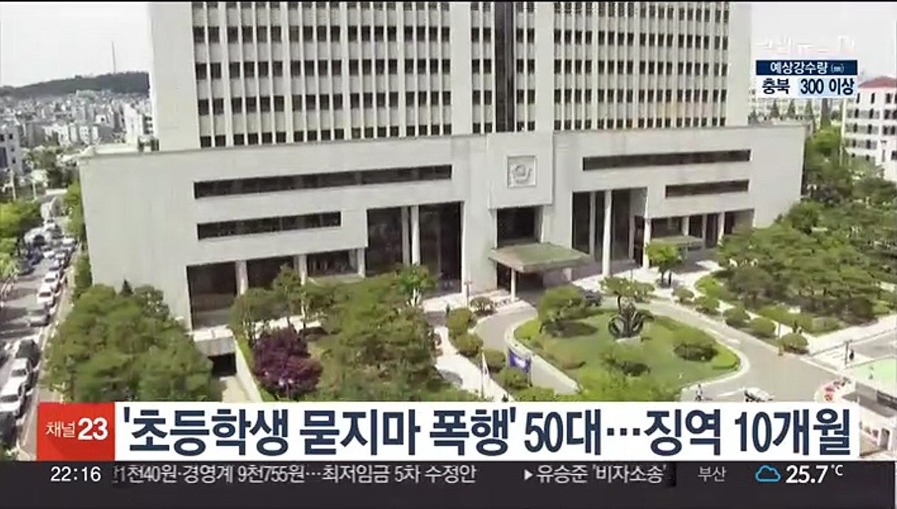 '초등학생 묻지마 폭행' 50대…징역 10개월