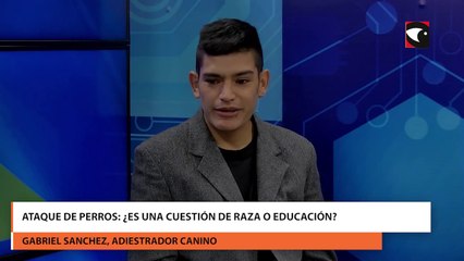 Gabriel Sanchez, adiestrador canino, manifestó  el animal lee nuestras emociones y su conducta se refleja en base a eso