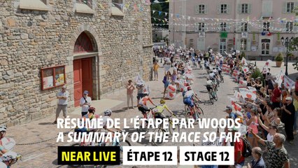 A summary of the race so far - Stage 12 - Tour de France 2023