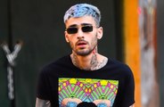 Best Chicken Ever: Zayn Malik refuses to name pet chickens after favourite fowl 'died in his arms'