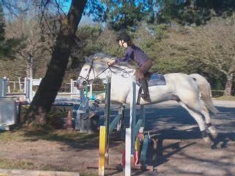 Team compét aux ajoncs