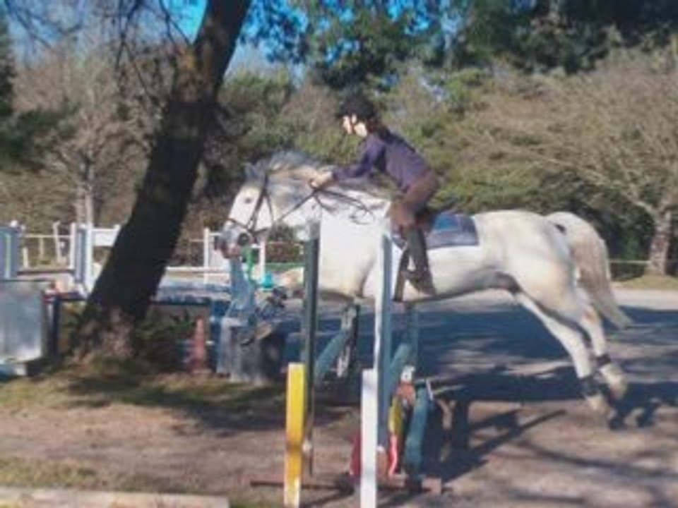 Team compét aux ajoncs