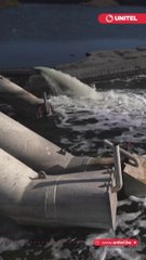 ¿Cómo viven los uruguayos con la peor sequía de su historia? en este video te contamos qué está pasando