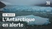 « Une situation de danger » : la fonte des glaces atteint l'Antarctique, jusqu'ici préservé