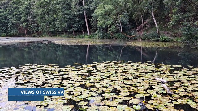The Loose Swiss Scouts desperately need a land warden for their 45-acre park in Loose