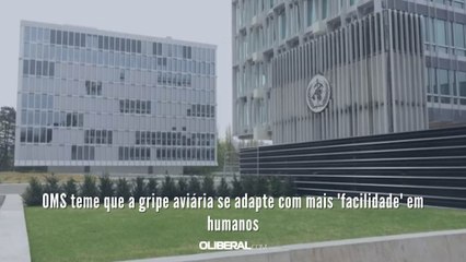 OMS teme que a gripe aviária se adapte com mais 'facilidade' em humanos