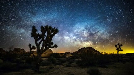 Summer nights, starry skies and fireflies.