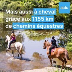 pourquoi-la-vendee-attire-t-elle-autant-de-touristes