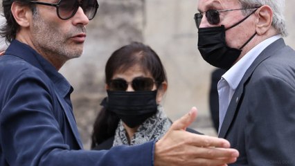 Hiromi Rollin, la dame de compagnie d'Alain Delon assure être la compagne de l'acteur