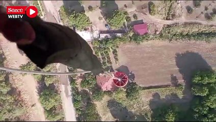 Muğla'da orman yangını