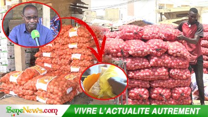 Hausse considérable du prix de l'oignon : Révélations sur les véritables causes