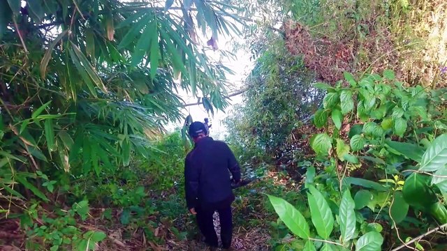 wild fish fishing spots