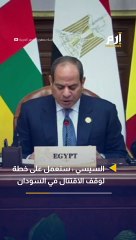 السيسي: سنعمل على خطة لوقف الاقتتال والحل الشامل لأزمة السودان