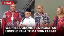Wapres Tegaskan Potensi Pengolahan dan Ekspor Pala Tomandin Fakfak Masih Besar