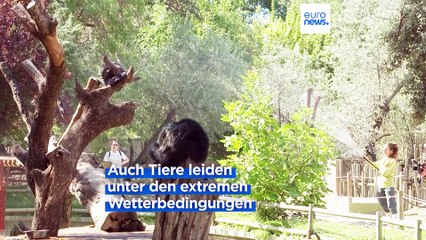 Hitzewelle "Cerberus" lässt Temperaturen in Südeuropa über 40 Grad klettern