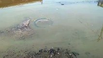 प्रदेश के इस जिले में अतिक्रमणकारियों ने निगल लिए तालाब