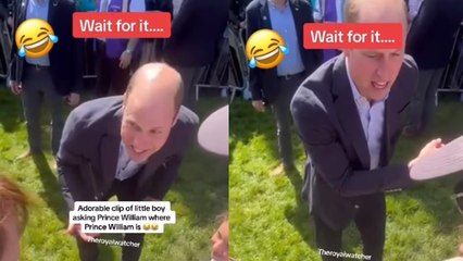 Adorable moment boy confuses Prince William for 'the government'