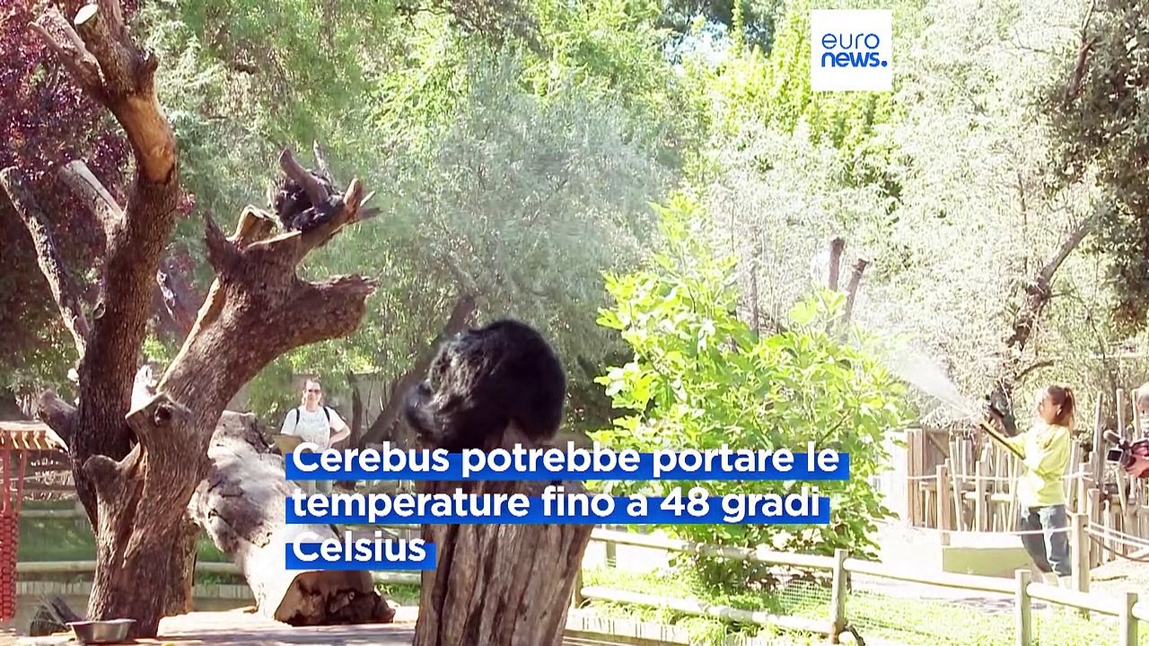 Europa, tornano afa e caldo estremi. Tutta colpa dei cambiamenti climatici