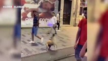 Sosyal medyada büyük beğeni topladı... Balonla oynayan köpeğin mutluluğu
