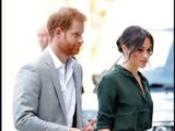 L'esperto ha affermato che Meghan 