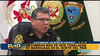 Dirandro erradicó 20 hectáreas dedicadas al cultivo de marihuana en La Libertad